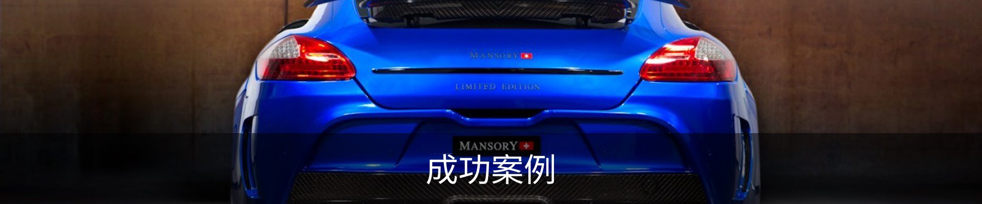 成功案例
